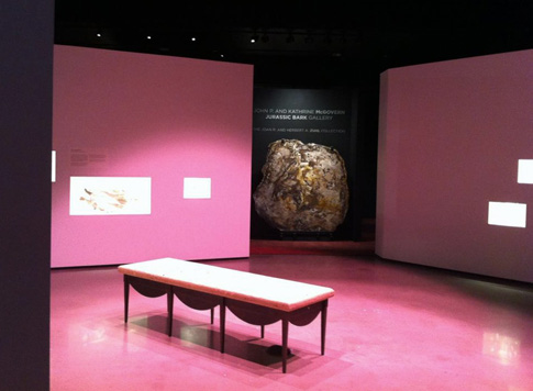 Benches in the New Paleo Hall of the Houston Museum of Natural Science
